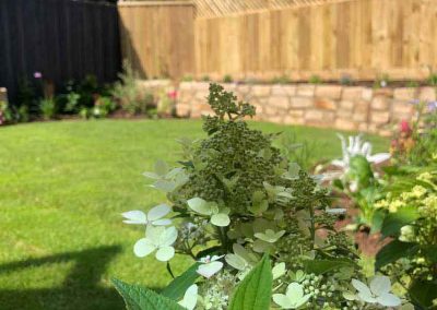 Beautiful finished garden with flowers