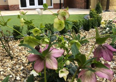 Flower bed in landscaped garden